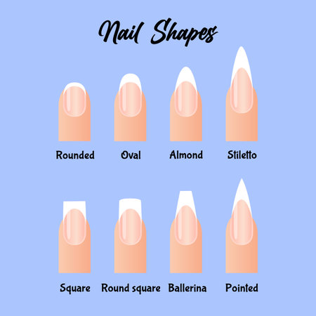 Manicured nails with different shapes and names.のイラスト素材