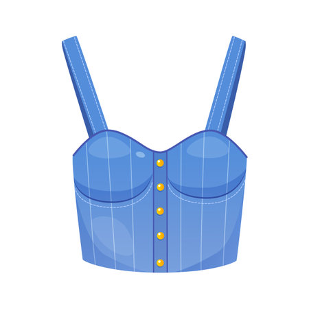 Vector fashionable stylish denim corset isolated on white background.のイラスト素材