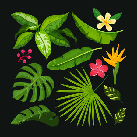 Vector collection of tropical leaves and blooming flowers isolated on white background.のイラスト素材