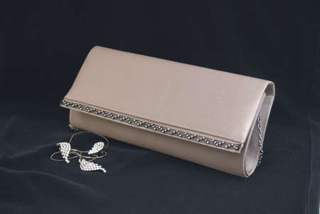 The elegance women clutch bagの写真素材