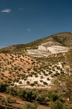 A view across the beautiful landscape of Andalucia in the southern part of Spainの写真素材