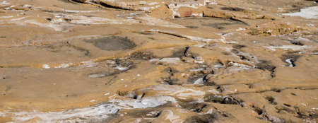 Textured stone sandstone surface. Close up image