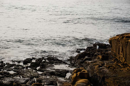 The coast of the Atlantic ocean in Portugal. Algarveの写真素材
