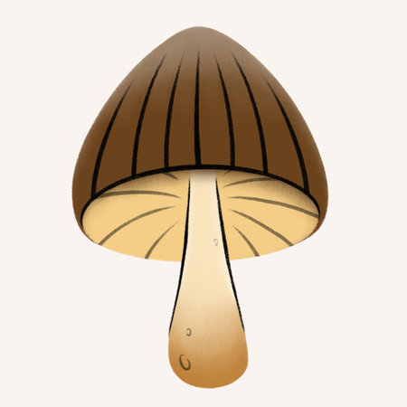 Mushroom with a brown hat stylized drawing by hand. Textured edible mushroom. illustration of healthy food. Sketches of autumn forest plants. Perfect for recipe, menu, label, badge, packaging, botanicの写真素材