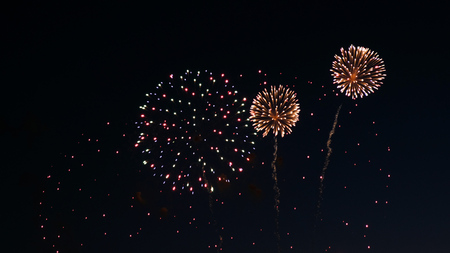 Fireworks on the city day holiday, big bursts of salute.