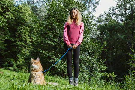 Beautiful girl walking in the Park the cats on the harness in a Sunny dayの写真素材
