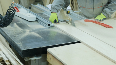 Worker cuts a sheet of plywood on a circular saw. Manufacture of wooden furniture