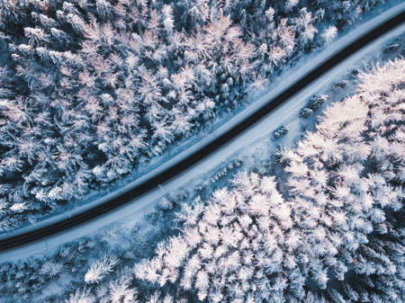 Aerial view of a road in a winter frosty coniferous forestの写真素材