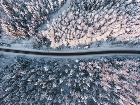 Stunning aerial view of the winter forest highway, concept of adventure and outdoor travelの写真素材