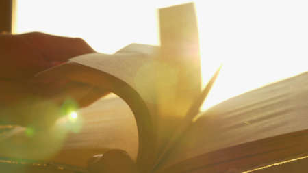 Silhouette of woman turning pages of book near train windowの写真素材