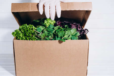 Fresh greens box to be sent to online buyer on white backgroundの写真素材