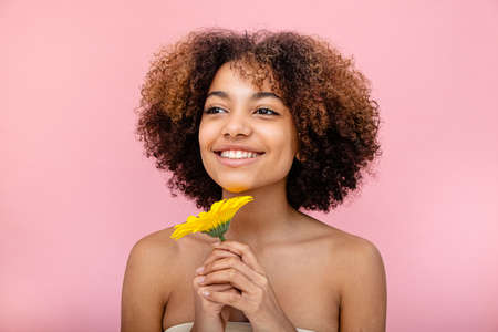 A romantic young woman of mixed race with lush hair looks to the side and holds a yellow flower on a pink background in her handsの写真素材
