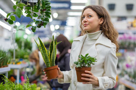Woman with brunette hair poses in store with succulentsの写真素材
