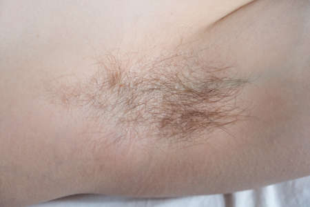 Female hairy armpit close up, body positiveの写真素材