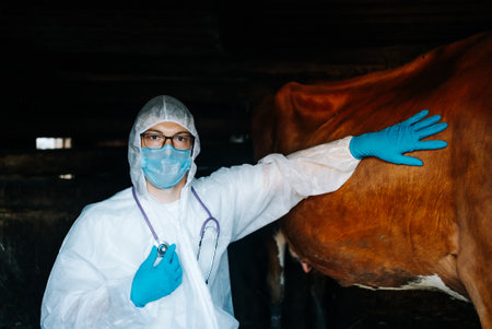 A focused veterinarian in protective gear examines a cow in a dimly lit barn. The professional touch and careful inspection ensure the animals health and well-being.の写真素材
