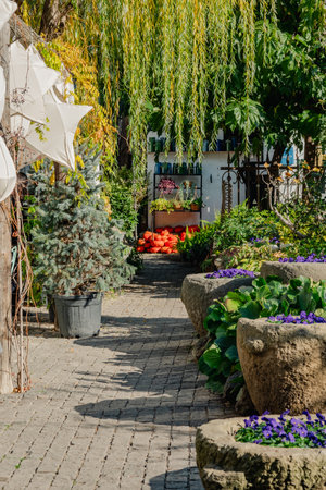 A cobblestone path leads through a quaint garden, adorned with star-shaped lanterns and lush planters.の写真素材