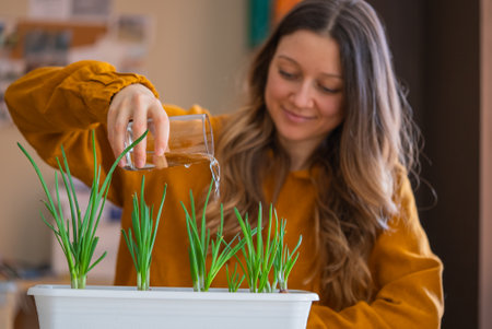 Woman wearing mustard-colored sweater is happily watering green onion plants growing in white planter.の写真素材