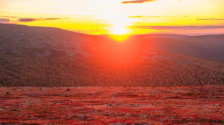 Vibrant sunset bathes the expansive tundra in warm light, creating long shadows and a colorful backdrop for the distant mountains and vegetationの写真素材