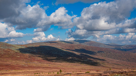 Sunlight and shadows cast a stunning pattern on the vibrant tundra scenery, set against a backdrop of cloudy skiesの写真素材