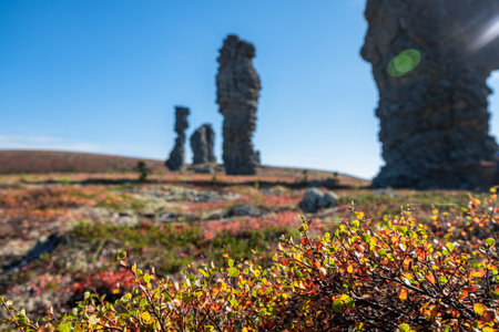 Colorful autumn leaves of dwarf birch in the foreground, with blurred weathered posts of the manpupuner rock formations in the backgroundの写真素材