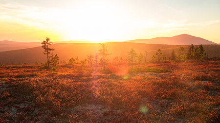 Stunning mountain landscape bathed in golden evening light, showcasing vibrant autumn colors, with a colorful sunset sky. Peaceful and serene, perfect for travelの写真素材