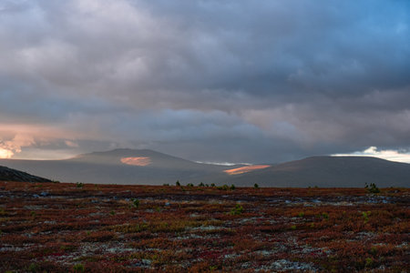 The landscape is being cast in dramatic shadows by the clouds, as the low sun illuminates the distant mountains and vibrant tundra vegetationの写真素材