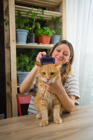 Woman brushing her ginger cat at home with seedlings in backgroundの写真素材