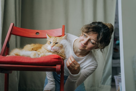 Woman playing with ginger cat on red chairの写真素材
