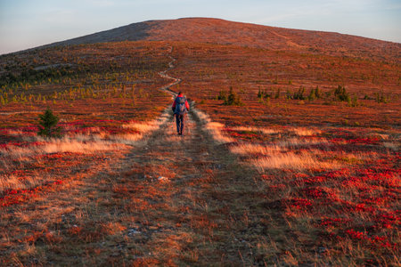 Hiker walking on a trail towards a mountain at sunset in autumnの写真素材