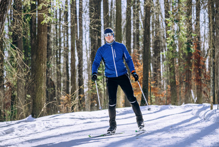 Cross-country skier skiing in snowy forest on sunny winter dayの写真素材