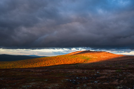 Sunlight illuminating colorful autumn forest under dramatic skyの写真素材
