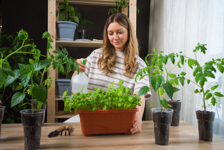 Woman taking care of seedlings at home, gardening and planting at homeの写真素材