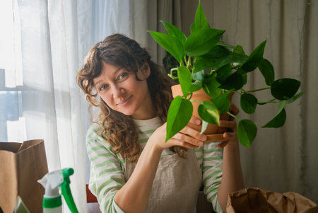 Gardener repotting houseplant at home: woman holding potted plantの写真素材
