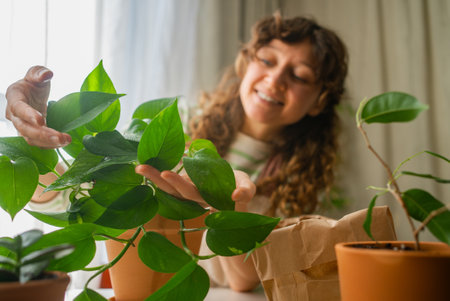 Woman gardening indoors taking care of houseplantsの写真素材