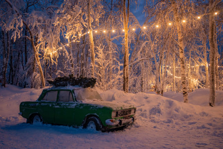 Green vintage car carrying christmas tree in snowy winter forest at nightの写真素材