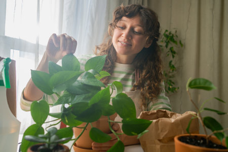 Woman repotting plants at home taking care of houseplantsの写真素材
