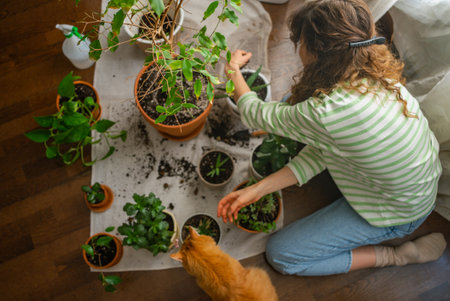 Woman repotting plants at home with her ginger cat watchingの写真素材