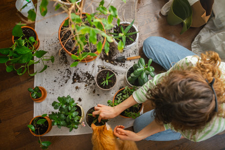 Woman repotting houseplants with her ginger catの写真素材
