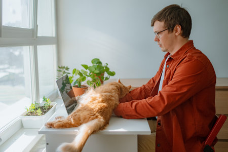 Remote worker typing on laptop near sunny window, ginger cat resting beside computer while houseplants decorate workspace backgroundの写真素材