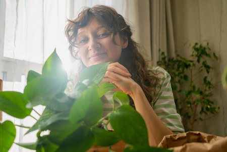 Woman taking care of houseplant at homeの写真素材