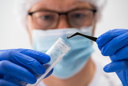 Scientist wearing gloves, a mask, glasses, and a hairnet is carefully using tweezers to place a tick into a test tube for detailed analysis in a medical laboratory settingの写真素材
