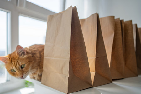 Ginger cat intently studying arranged brown paper bags, revealing playful interaction between feline curiosity and food delivery packaging at small business settingの写真素材
