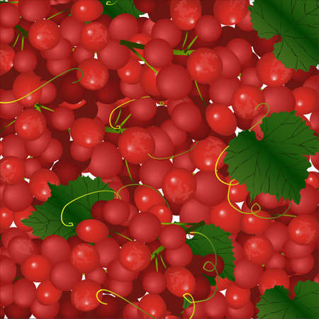Vector background of pink bunches of grapesのイラスト素材