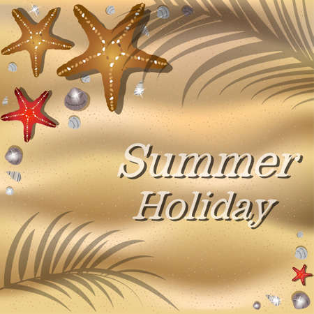 Sandy beach with shells, starfish and the shadow of palm trees. Vector background.のイラスト素材