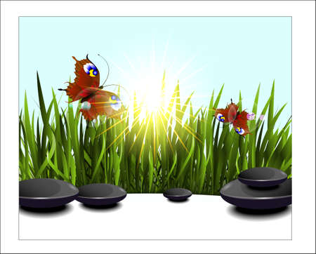 Green grass and butterflies in the sunのイラスト素材