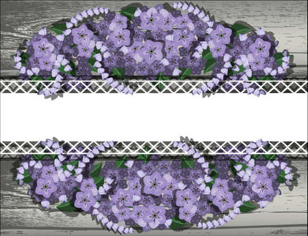 Beautiful purple flowers on the old wooden background. Vector illustration.のイラスト素材