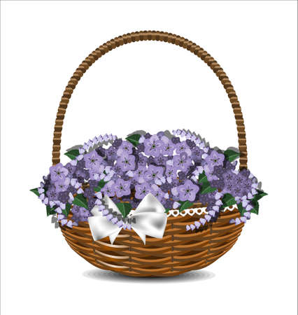 Beautiful purple flowers in a wicker basket with a white bow. Vector illustration.のイラスト素材