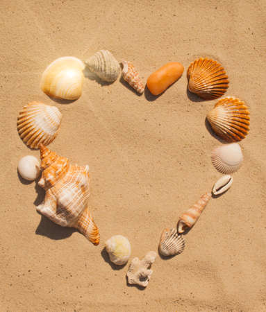 Love heart made from seashells. Summertime at the beach.の写真素材