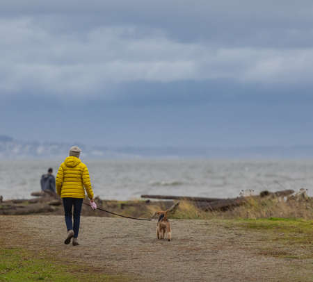 active woman walking along ocean coast with dog in autumn cloudy day. Street view, travel photo,...
