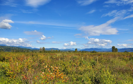 Beautiful autumn landscape. Mobile photo selective focus, nobody, travel photo
